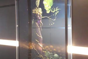 Realizacja Kapi Studio